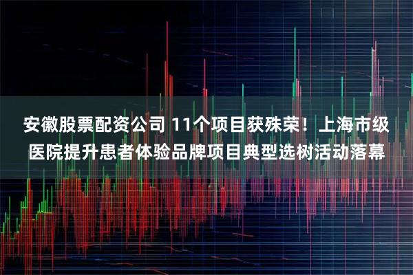 安徽股票配资公司 11个项目获殊荣！上海市级医院提升患者体验品牌项目典型选树活动落幕