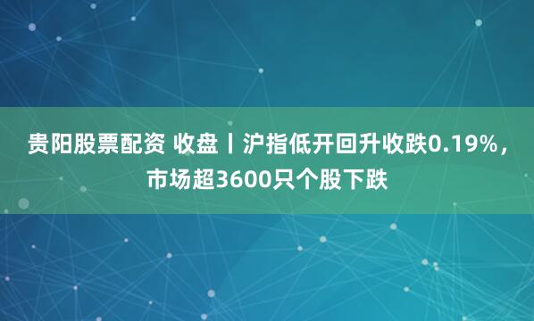贵阳股票配资 收盘丨沪指低开回升收跌0.19%,市场超3600只个股下跌